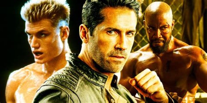 Action Star, Martial Artist, And Humanitarian