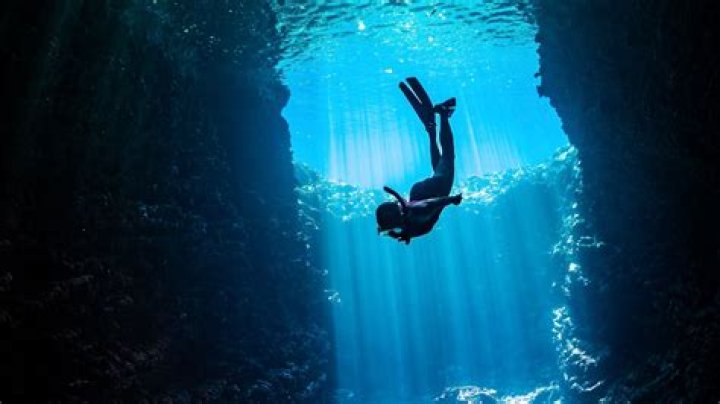 Dive Into The World Of Marty Meierotto