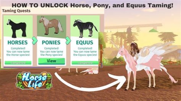 Unlock Breeding Success With The Revolutionary Suzie Q Breeding Mount
