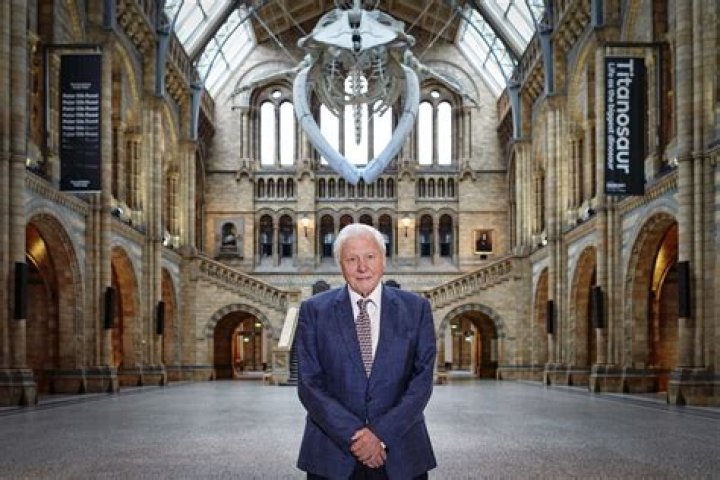 Unveiling The Net Worth Of Sir David Attenborough: Discoveries And Insights